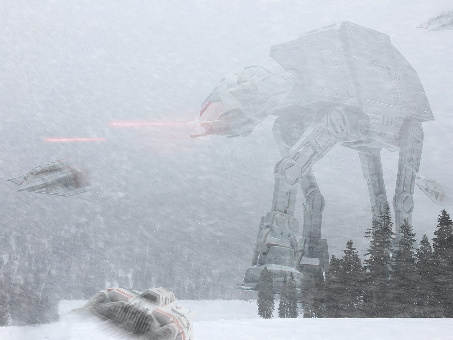 Winterland