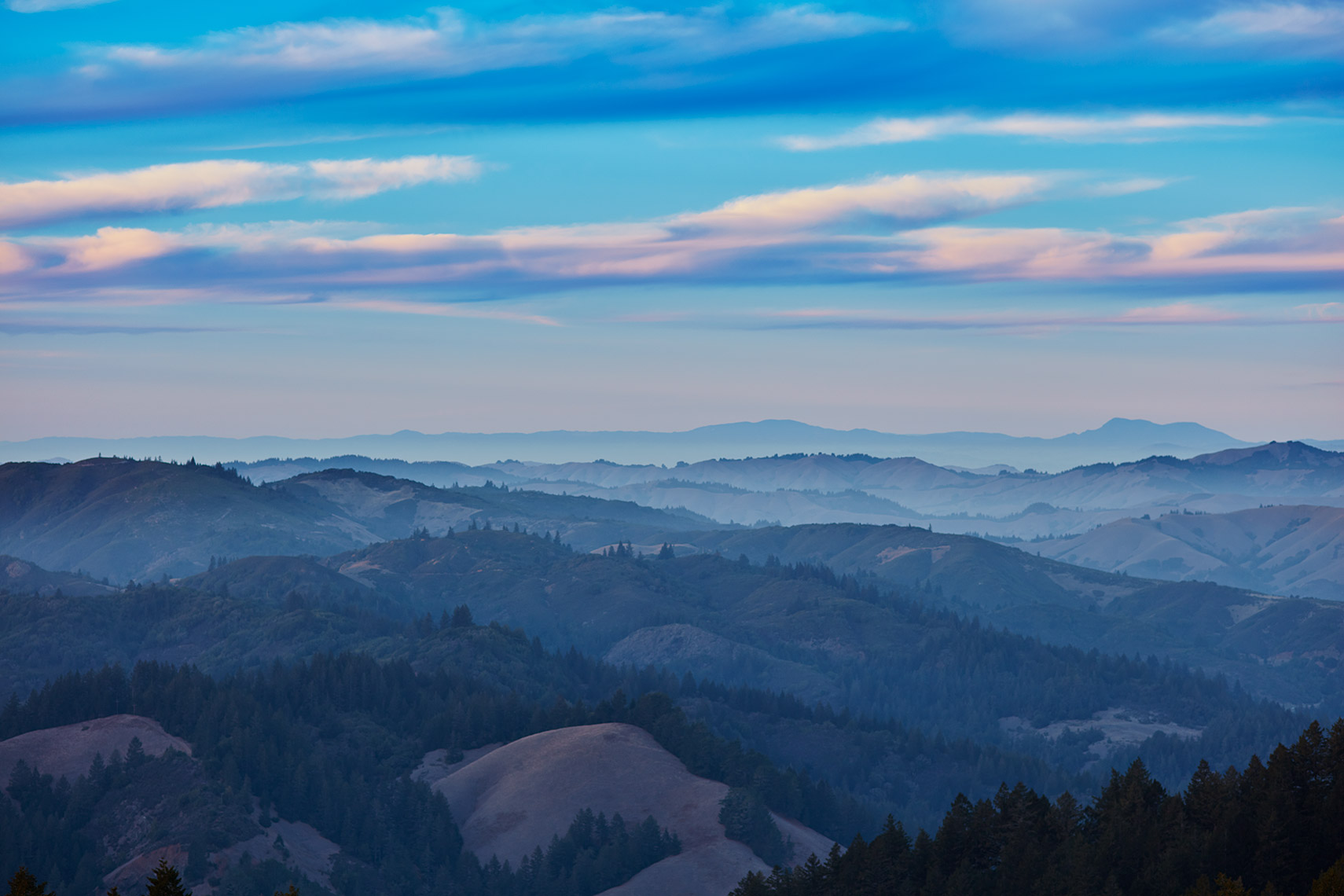 Mount Tamalpais, California